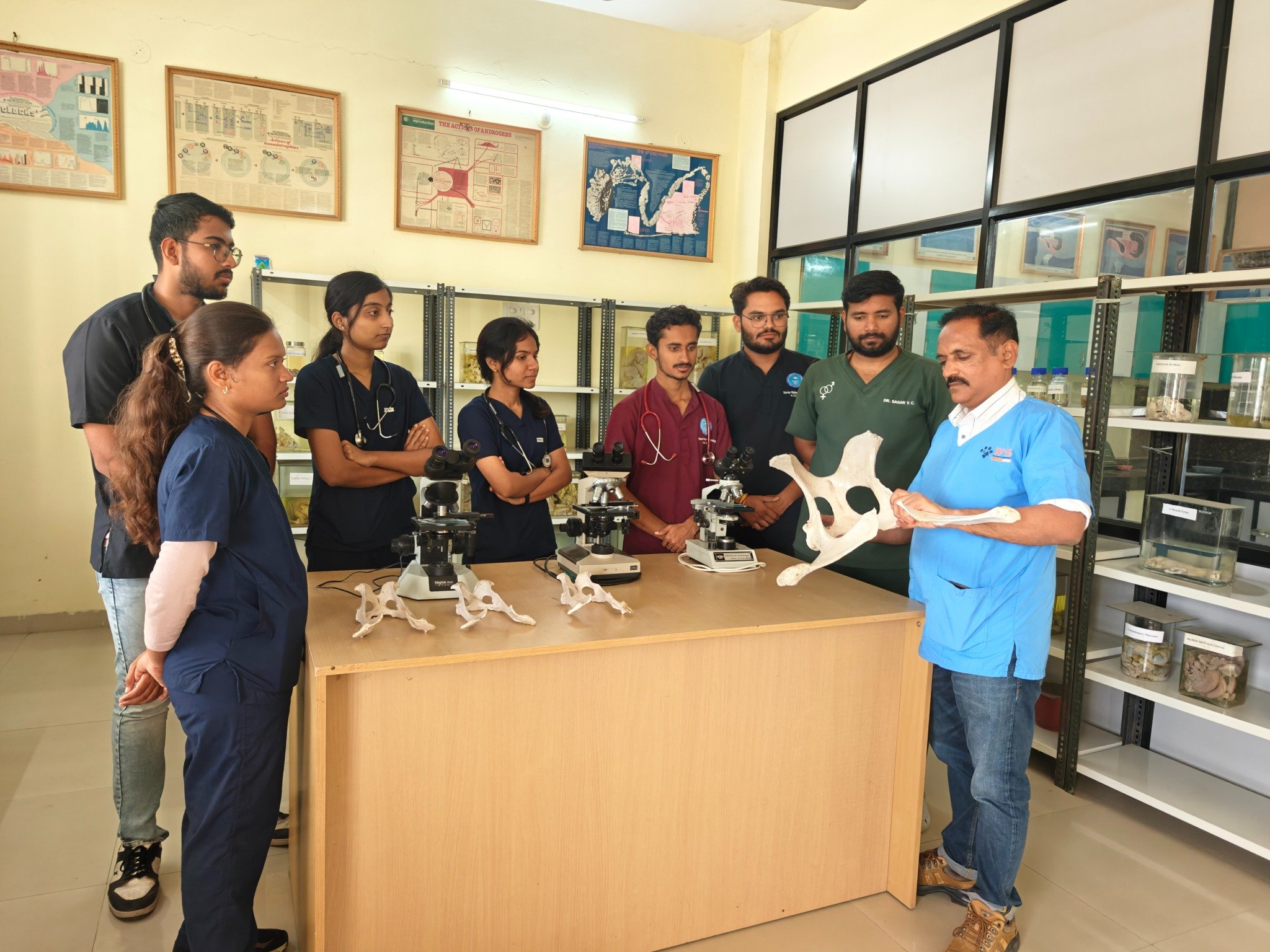 Gynecology Gross Specimens Museum